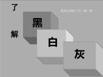 《第1课 了解黑灰白》PPT课件4-七年级美术下册辽海版