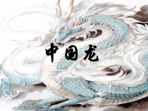 《第11课 中国龙》PPT课件1-八年级美术下册辽海版