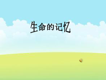 《第14课 生命的印记》PPT课件2(1)-八年级美术下册辽海版