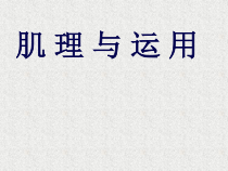 《6 肌理与应用》PPT课件3-七年级美术下册岭南版