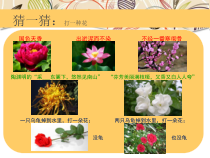 《5 花卉与纹样》PPT课件5(1)-七年级美术下册岭南版