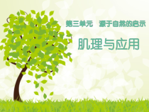 《6 肌理与应用》PPT课件6(1)-七年级美术下册岭南版