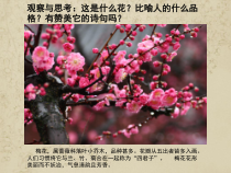 《3 鸟语花香》PPT课件6-八年级美术上册岭南版