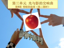 《5 明暗的造型》PPT课件2-八年级美术下册岭南版