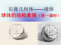《5 明暗的造型》PPT课件7-八年级美术下册岭南版