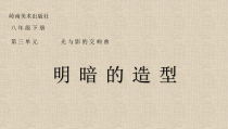 《5 明暗的造型》PPT课件9-八年级美术下册岭南版