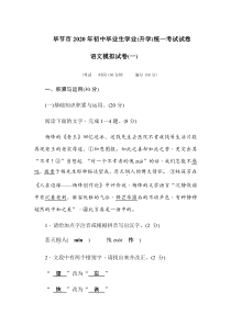 中考语文模拟试卷（48份打包，含答案详解，可预览）