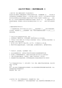 中考语文 三轮冲刺组合练 三(含答案解析) 