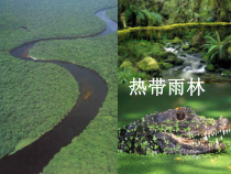 《第二节 撒哈拉以南非洲》PPT课件2-粤人版地理七年级下册