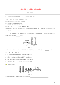 中考物理二轮专项复习 专项01质量、密度的测量专项训练（含答案）