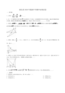 湖北省2020年最新中考数学必刷试卷01（含答案解析）