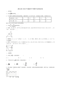 湖北省2020年最新中考数学必刷试卷10（含答案解析）