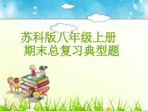 苏科版八年级物理上册期末总复习典型题