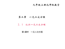 北师大版九年级数学上册课件：2.1 认识一元二次方程 第1课时 一元二次方程
