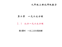 北师大版九年级数学上册课件：2.1 认识一元二次方程 第2课时 一元二次方程的解