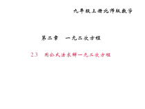 北师大版九年级数学上册课件：2.3用公式法求解一元二次方程