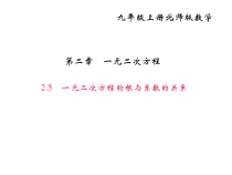 北师大版九年级数学上册课件：2.5一元二次方程的根与系数的关系