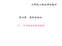 北师大版九年级数学上册课件：4.2平行线分线段成比例