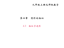 北师大版九年级数学上册课件：4.3相似多边形