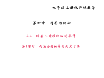 北师大版九年级数学上册课件：4.4探索三角形相似的条件 第1课时 两角分别相等的判定方法