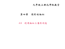 北师大版九年级数学上册课件：4.6利用相似三角形测高