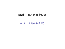 浙教版七年级数学上册：6.9　直线的相交(2)（含答案）