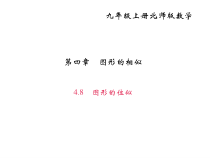 北师大版九年级数学上册课件：4.8 图形的位似