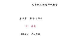 北师大版九年级数学上册课件：5.1 投影 第1课时 中心投影