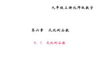 北师大版九年级数学上册课件：6.1 反比例函数