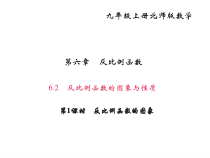 北师大版九年级数学上册课件：6.2 反比例函数的图象与性质 第1课时 反比例函数的图象