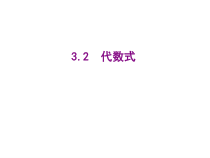 北师大版数学七年级上册同步教学课件：3.2代数式 (共14张PPT)