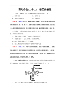 高考生物一轮复习(含答案)：课时作业22