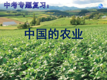 《第一节 农业》PPT课件2-粤人版地理八年级上册