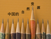 《第一节 自然资源概述》PPT课件8-粤人版地理八年级上册