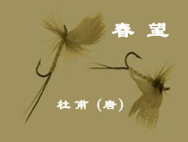 部编版八年级语文上册《春望》课件（定稿）