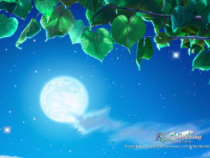 部编版八年级语文上册《记承天寺夜游》课件（定稿）
