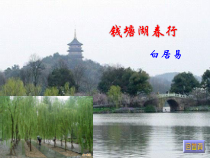 部编版八年级语文上册《钱塘湖春行》课件（集体备课定稿）