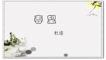 部编版八年级语文上册《春望》课件（定稿）