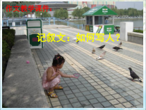 部编版八年级语文上册《第五单元大作记叙文：如何写人》课件（定稿）