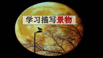 部编版八年级语文上册《第三单元小作：学习景物描写》课件（定稿）