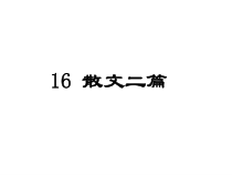 部编版八年级语文上册《散文二篇》教案+课件+导学案（定稿；共2课时）