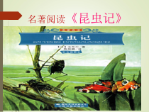 部编版八年级语文上册名著导读《昆虫记》教案+课件+导学案（定稿集体备课）