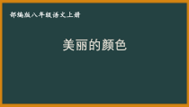 扬州某附中部编版八年级语文公开课上册《美丽的颜色》教案及课件（定稿）