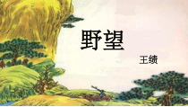部编版八年级语文上册《野望》教案+课件+导学案（定稿集体备课）