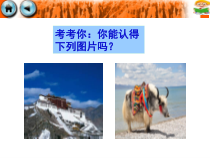 《第四节 青藏地区》PPT课件3-粤人版地理八年级下册