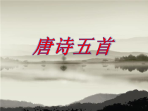 部编版八年级上册语文《唐诗五首》课件共3课时（定稿）