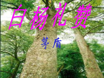 部编版八年级上册语文《白杨礼赞》第1课时课件（定稿）