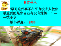 部编版八年级上册语文《蝉》课件（定稿）