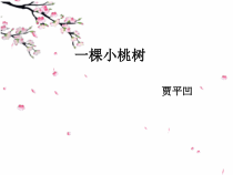 部编版八年级上册语文《一棵小桃树》课件（集体定稿）