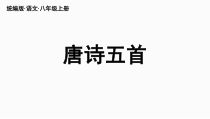 部编版八年级语文上册公开课《野望》课件